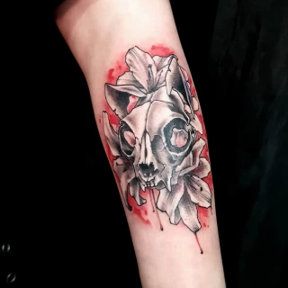 Cat Skull - Tattoo Neotraditionnal - Black Hat Tattoo Dublin - The Black Hat Tattoo