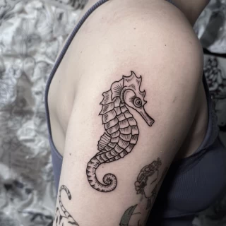 Seahorse Tattoo on arm - Black Hat Tattoo Dublin - The Black Hat Tattoo