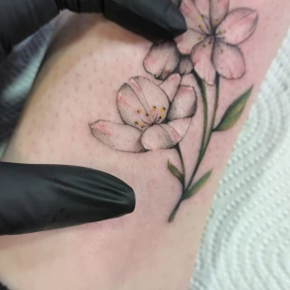 Small -  - Flower Tattoo - Black Hat Tattoo Dublin - The Black Hat Tattoo