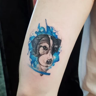 Dog blue Pet Tattoo - Black Hat Tattoo Dublin - The Black Hat Tattoo