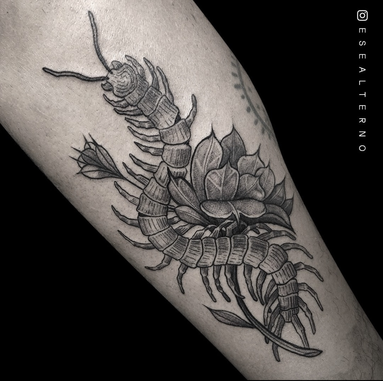 IMG_0770 - The Black Hat Tattoo