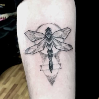 Dragon fly tattoo  Insect Tattoo - Black Hat Tattoo Dublin - - The Black Hat Tattoo