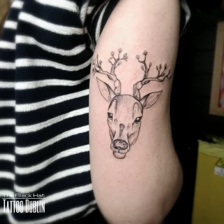 Deer Tattoo - Black Hat Tattoo Dublin - Fine lines - The Black Hat Tattoo