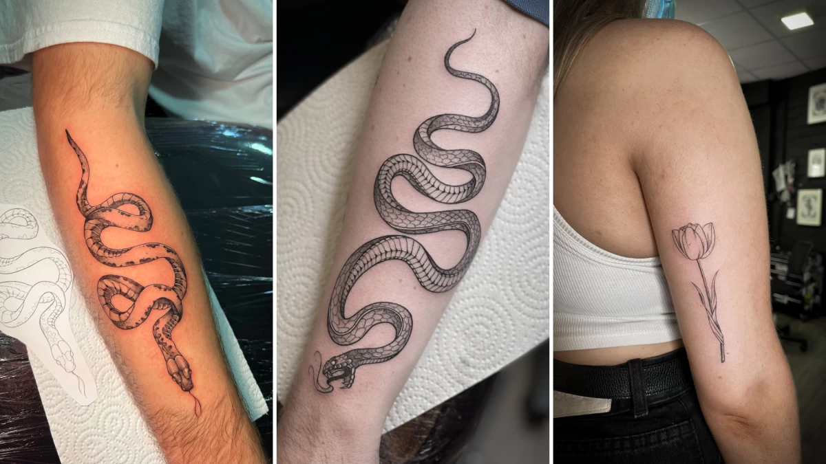 Snake Tattoo - Black Hat Tattoo Dublin 2