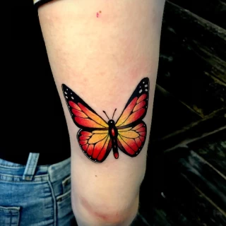 Color Vibrant Butterfly Tattoo  - Black Hat Tattoo Dublin - The Black Hat Tattoo