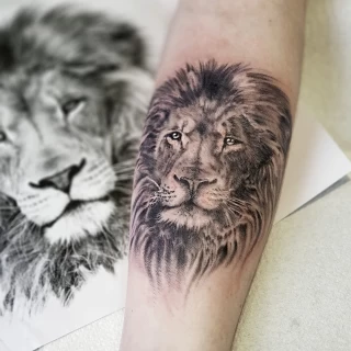 Realistic Lion - Lion Tattoo - Black Hat Tattoo Dublin - The Black Hat Tattoo