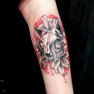 Cat skull neotrad - Skull Tattoo - Black Hat Tattoo Dublin - The Black Hat Tattoo