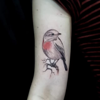 Sparrow Bird Tattoo - Bird Tattoo - Black Hat Tattoo Dublin - The Black Hat Tattoo
