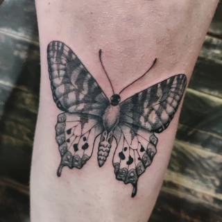 Butterfly Tattoo on leg -  - Black Hat Tattoo Dublin - The Black Hat Tattoo