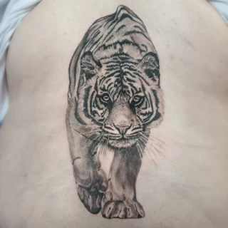 Tiger Tattoo - Black Hat Tattoo Dublin - walking tiger - The Black Hat Tattoo