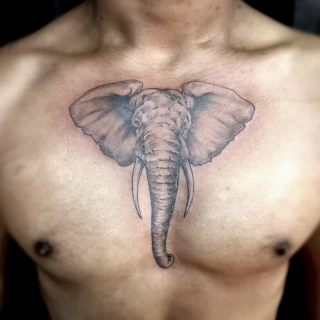 Elephant on chest - Realism, Microrealism and Portrait Tattoo - Black Hat Tattoo Dublin - The Black Hat Tattoo