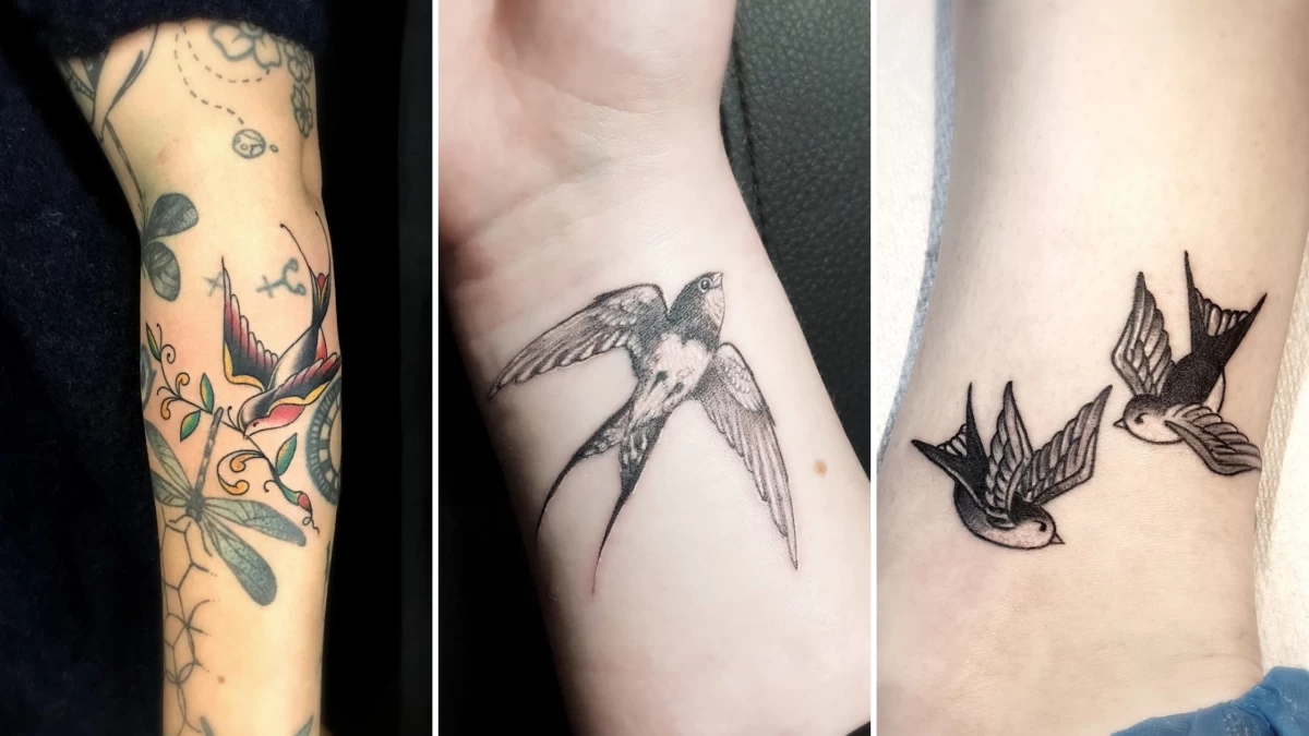 Bird Tattoo - Black Hat Tattoo Dublin 4