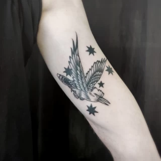 Realism bird tattoo - Bird Tattoo - Black Hat Tattoo Dublin - The Black Hat Tattoo