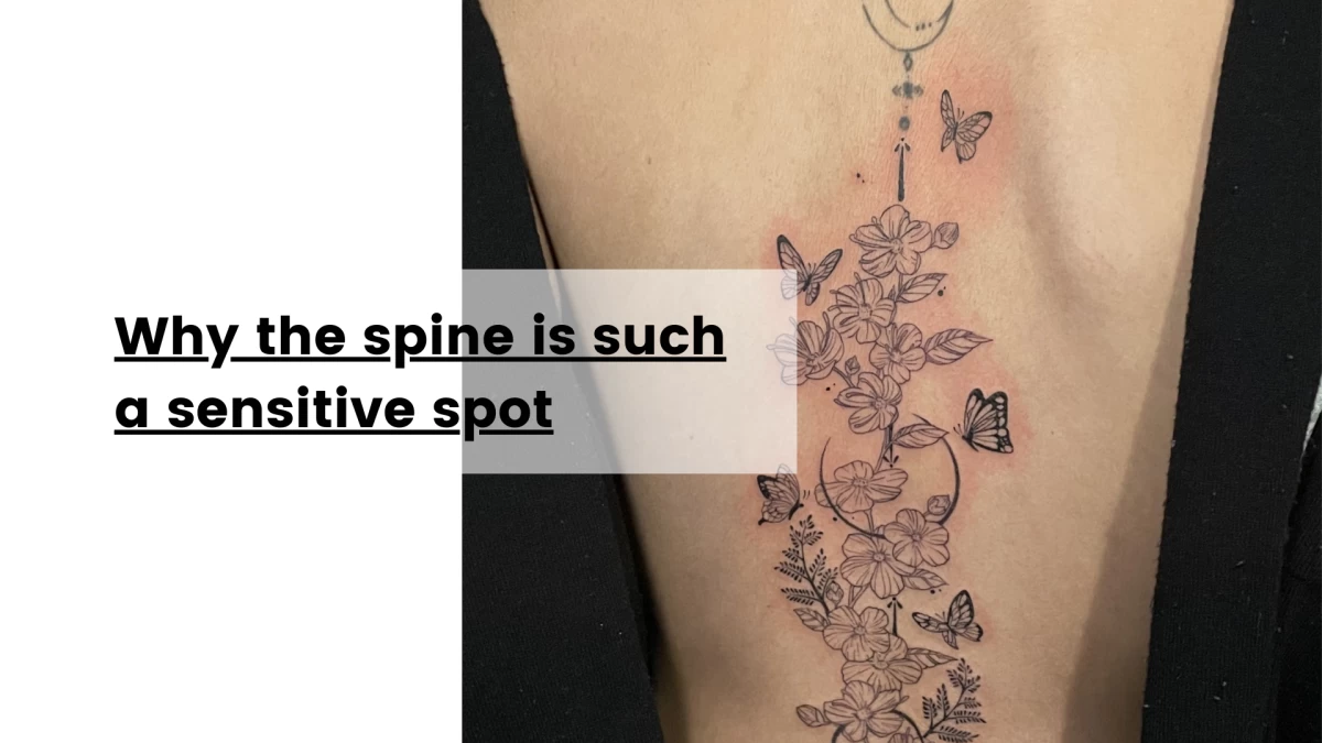 Why the spine is such a sensitive spot