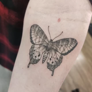 Small buterfly - Small Tattoo idea - Black Hat Tattoo Dublin - The Black Hat Tattoo