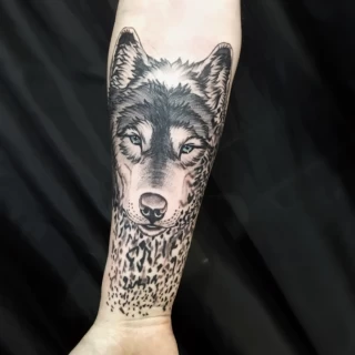 Wolf tattoo - Wolf Tattoo - Black Hat Tattoo Dublin - The Black Hat Tattoo