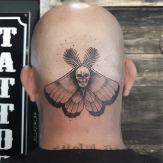 Moth on head  Insect Tattoo - Black Hat Tattoo Dublin - - The Black Hat Tattoo