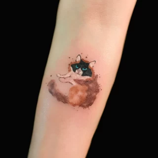 Cat on arm tattoo - Color Watercolor and Sketch Tattoos - Black Hat Tattoo Dublin - The Black Hat Tattoo