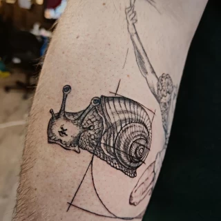 Snail Tattoo on arm - Black Hat Tattoo Dublin - The Black Hat Tattoo
