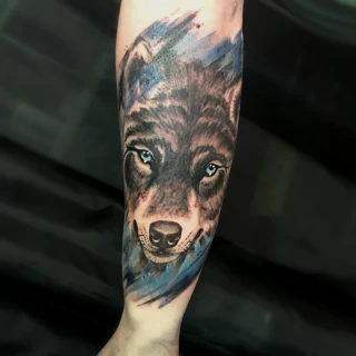 Wolf and colors - Wolf Tattoo - Black Hat Tattoo Dublin - The Black Hat Tattoo