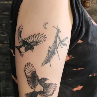 Fine lines bird tattoo - Bird Tattoo - Black Hat Tattoo Dublin - The Black Hat Tattoo