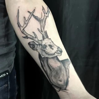 Deer Tattoo - Black Hat Tattoo Dublin - realism - The Black Hat Tattoo