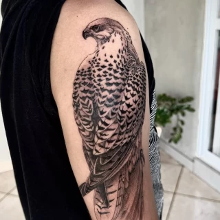 Joao - resident artist - presentation post - black and grey tattoo - realism - the black hat tattoo Dublin- 2025 (2) - The Black Hat Tattoo