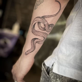 Fine lines snake tattoo on arm - Snake Tattoo - Black Hat Tattoo Dublin - The Black Hat Tattoo