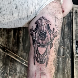 Animal Skull Tattoo on arm -  - Blackwork Darkwork - Black Hat Tattoo Dublin - The Black Hat Tattoo