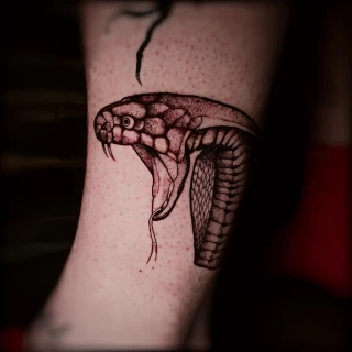 Snake head blackwork - Snake Tattoo - Black Hat Tattoo Dublin - The Black Hat Tattoo