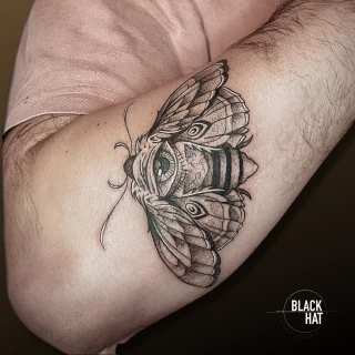 Moth tattoo on lower arm  - Black Hat Tattoo Dublin - The Black Hat Tattoo