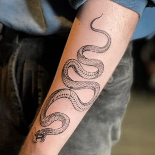 fine lines snake tattoo - Snake Tattoo - Black Hat Tattoo Dublin - The Black Hat Tattoo