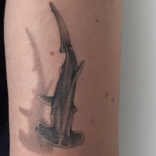 DAVID 16 - The Black Hat Tattoo