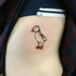 Atlantic Puffin Tattoo - Bird Tattoo - Black Hat Tattoo Dublin - The Black Hat Tattoo