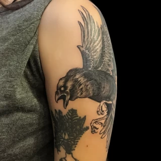 Crow Tattoo on upper arm - Black Hat Tattoo Dublin - The Black Hat Tattoo