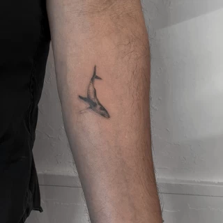 DVID 14 - The Black Hat Tattoo