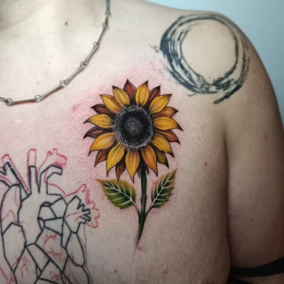 Piroska - guest artist - sunflower tattoo - colorwork - floral tattoo - the black hat tattoo Dublin- 2025 - The Black Hat Tattoo