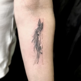 Horse - Tattoo Fine Line and Line Work - Black Hat Tattoo Dublin - The Black Hat Tattoo