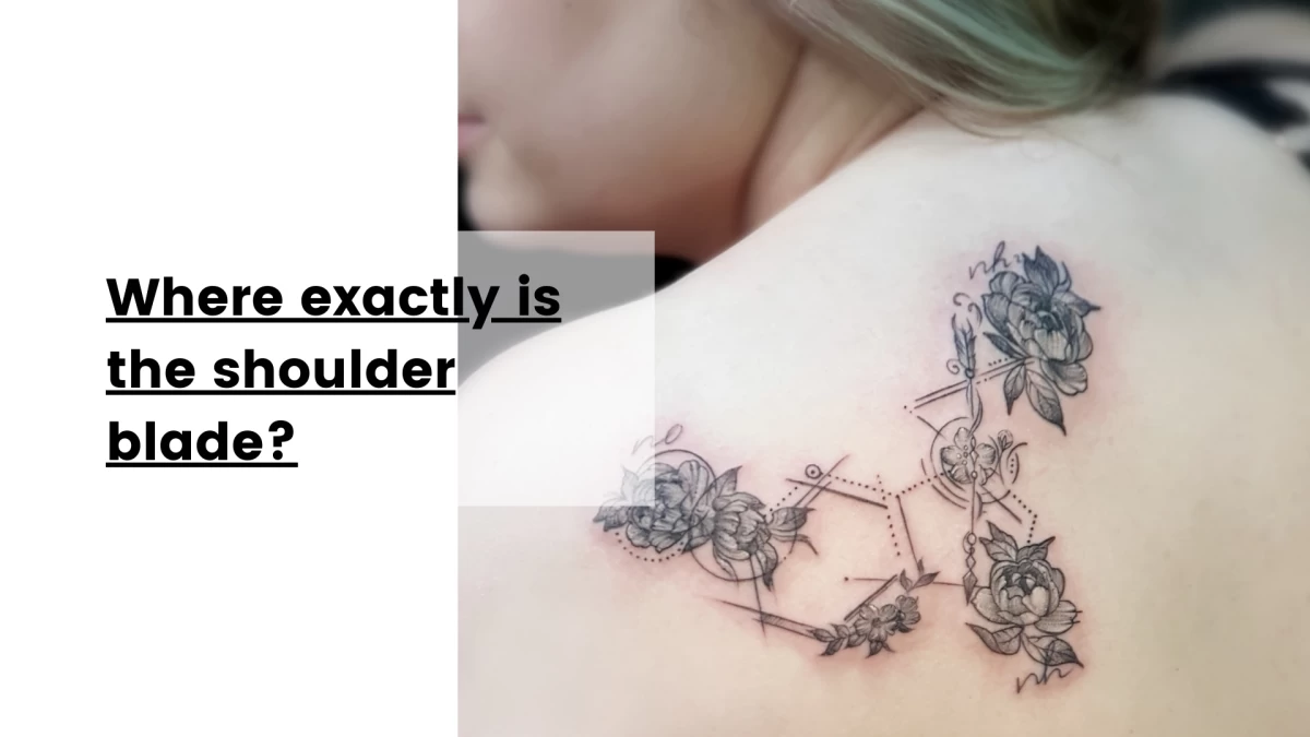 Where exactly is the shoulder blade