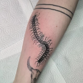 Centiped Tattoo - Botanical & Nature - Black Hat Tattoo Dublin - The Black Hat Tattoo