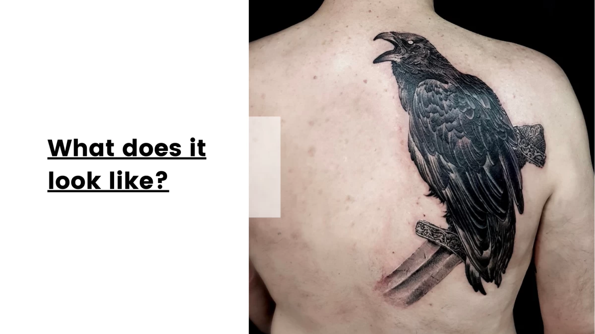 What does it look like