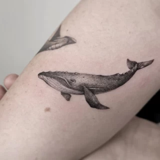 Molly guest artist fine line_(18) - The Black Hat Tattoo