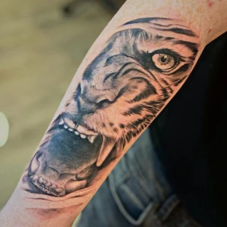 Tiger Tattoo - Black Hat Tattoo Dublin - Arm realism - The Black Hat Tattoo