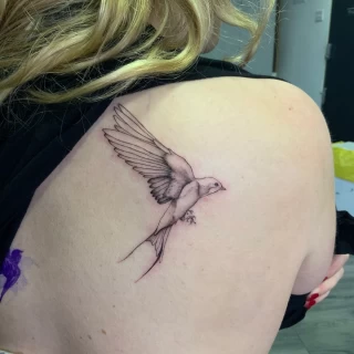 small bird tattoo on shoulder - Bird Tattoo - Black Hat Tattoo Dublin - The Black Hat Tattoo