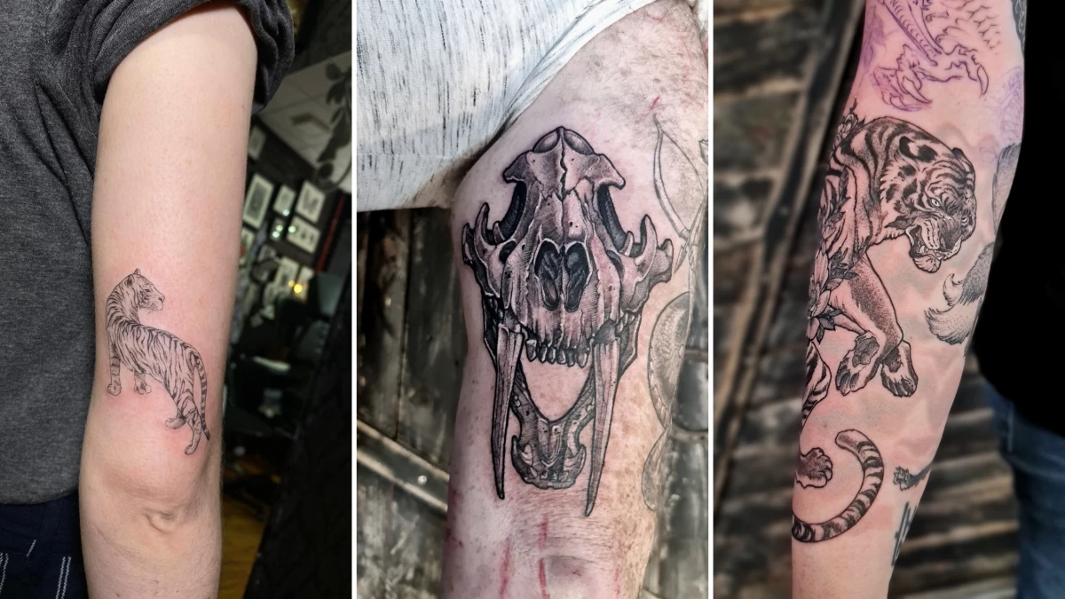 tiger skulls tattoo｜TikTok Search