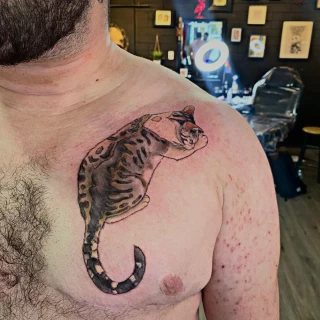 Cat on chest - Cat Tattoo - Black Hat Tattoo Dublin - The Black Hat Tattoo