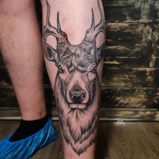 Deer Tattoo - Black Hat Tattoo Dublin - realism on leg - The Black Hat Tattoo