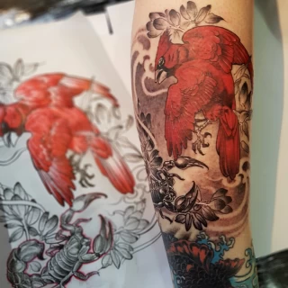 Red bird - Bird Tattoo - Black Hat Tattoo Dublin - The Black Hat Tattoo