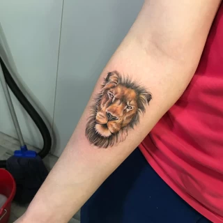 Color Lion on arm - Lion Tattoo - Black Hat Tattoo Dublin - The Black Hat Tattoo