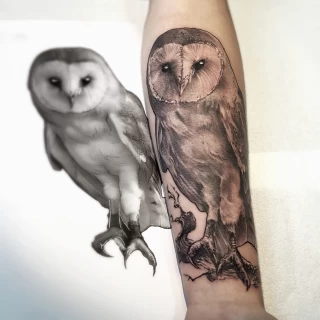 OWl Tattoo - Black & Grey Tattoo - Black Hat Tattoo Dublin - The Black Hat Tattoo